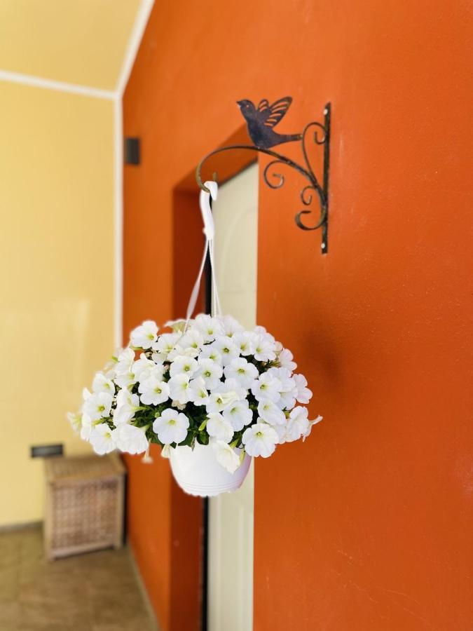 Il Giardino Di Iole Via Giovanni Amendola N36 Sassari Exterior foto
