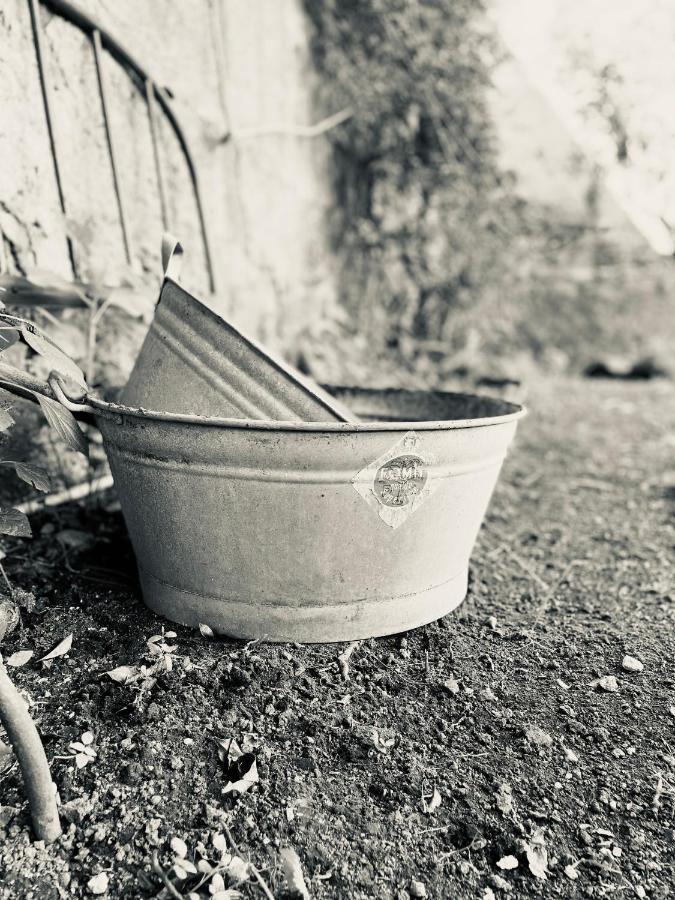 Il Giardino Di Iole Via Giovanni Amendola N36 Sassari Exterior foto